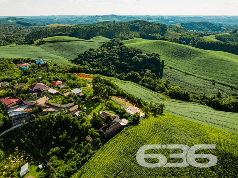 Chácara à venda no Avenquinha em Campo Alegre: Um 