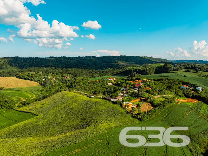 Chácara à venda no Avenquinha em Campo Alegre: Um 
