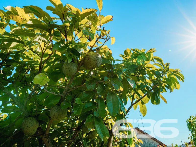 Casa à venda no bairro Costeira, Balneário Barra d