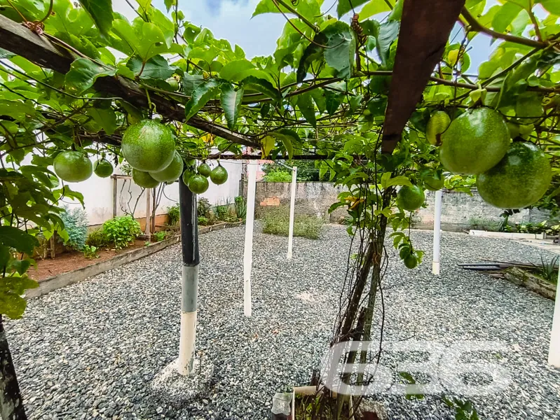 Casa à venda no Itinga, Joinville - uma oportunida