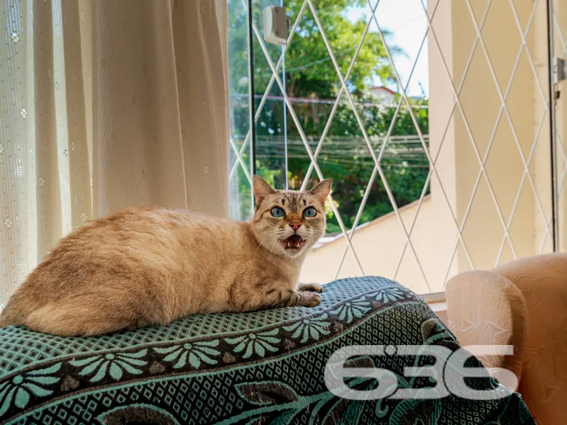Casa à venda no Jarivatuba, Joinville, com diferen