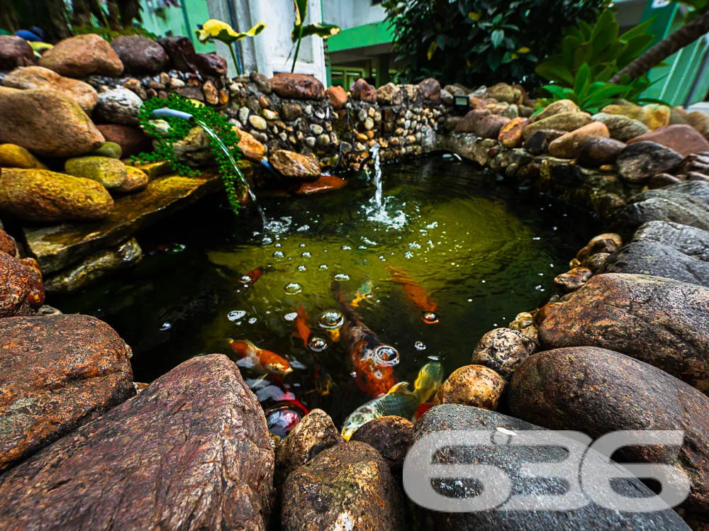 Descubra a Oportunidade Única no Coração de Joinvi