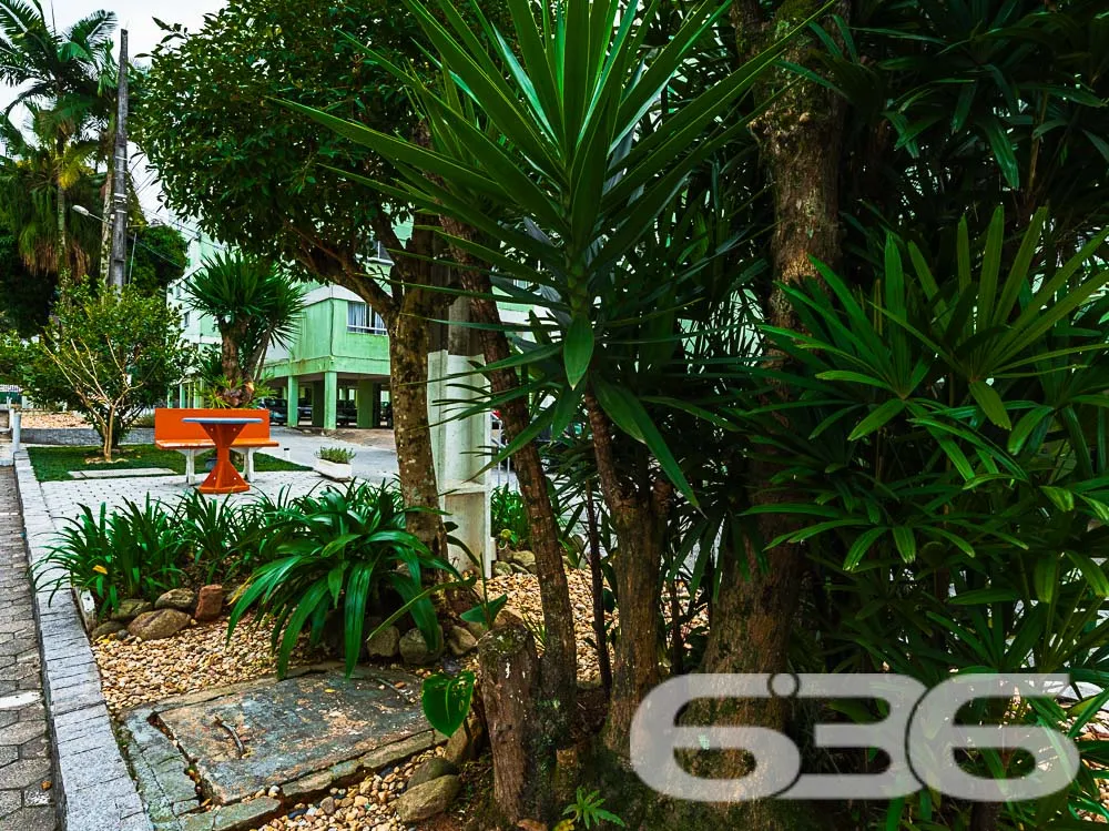 Descubra a Oportunidade Única no Coração de Joinvi