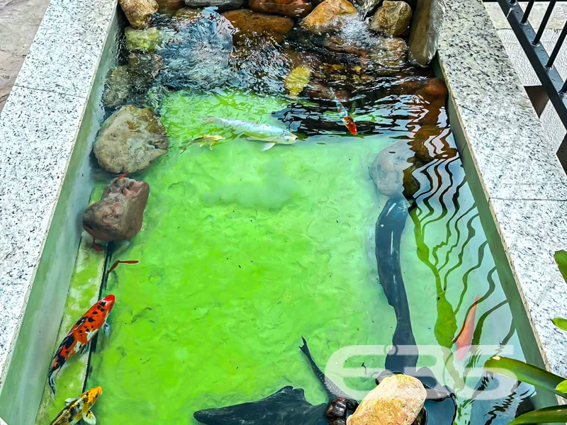 LINDO APARTAMENTO COM SUÍTE + 2 QUARTOS NO BAIRRO 