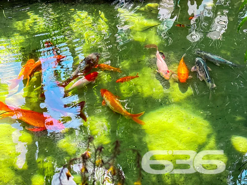 Descubra a excelência e o conforto em um dos bairr