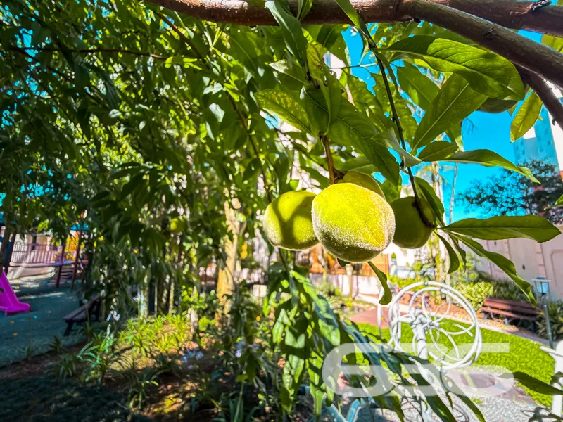 Descubra a excelência e o conforto em um dos bairr