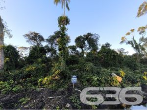 Terreno - Salinas - Balneário Barra do Sul