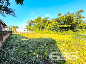 Terreno - Costeira - Balneário Barra do Sul