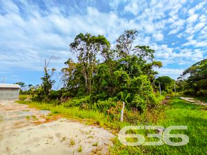 Terreno - Ervino - São Francisco do Sul