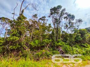Terreno - Ervino - São Francisco do Sul