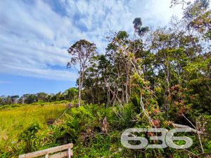 Terreno - Ervino - São Francisco do Sul