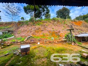 Terreno - Nova Brasília - Joinville