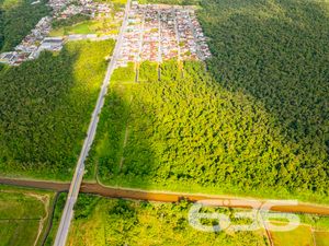 Terreno - Nova Brasília - Joinville
