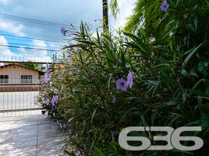 Residência - Floresta - Joinville
