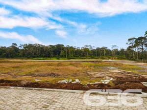 Terreno - Ervino - São Francisco do Sul