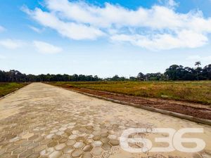 Terreno - Ervino - São Francisco do Sul