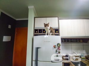 Apartamento - Vila Nova - Joinville