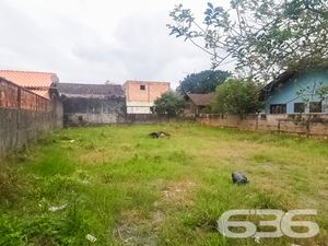 Terreno - Floresta - Joinville