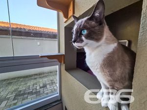 Apartamento - Saguaçu - Joinville