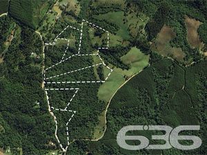 Chácara/Sítio - BATEIAS DE BAIXO - Campo Alegre