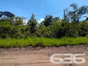 Terreno - Ervino - São Francisco do Sul