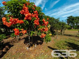 Terreno - Areias Pequenas - Araquari