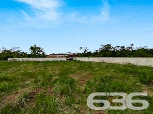 Terreno - Ervino - São Francisco do Sul