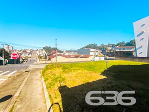 Terreno - Floresta - Joinville