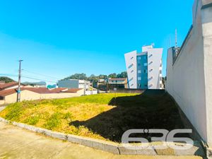 Terreno - Floresta - Joinville