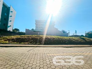 Terreno - Floresta - Joinville