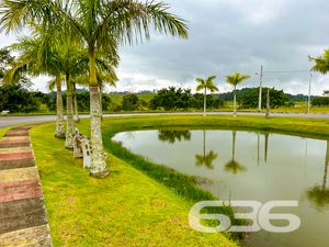 Terreno - Itinga - Araquari