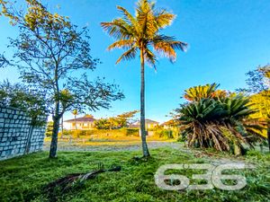 Terreno - Ubatuba - São Francisco do Sul