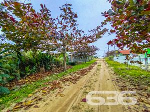 Terreno - Ervino - São Francisco do Sul