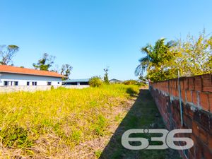 Terreno - Ervino - São Francisco do Sul