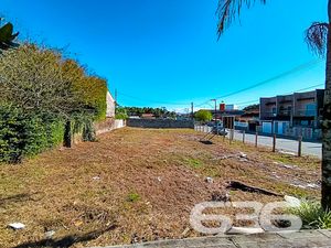 Terreno - Floresta - Joinville