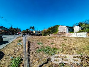 Terreno - Floresta - Joinville