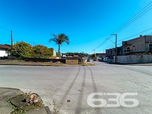 Terreno - Floresta - Joinville