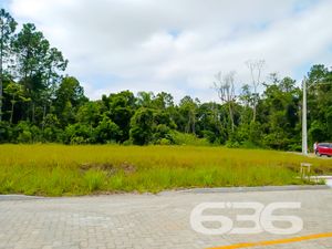 Terreno - Volta Redonda - Araquari