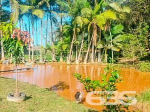 Chácara/Sítio - Escalvado - Barra Velha