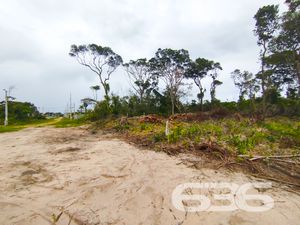 Terreno - Ervino - São Francisco do Sul
