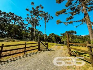 Chácara/Sítio - Estrada Geral do Saltinho - Campo Alegre