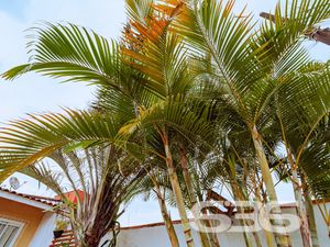 Residência - Bom Retiro - Joinville
