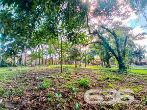 Terreno - Iperoba - São Francisco do Sul