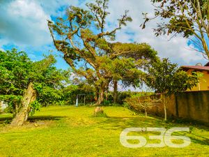 Terreno - Ervino - São Francisco do Sul