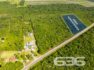 Terreno - Pinheiros - Balneário Barra do Sul