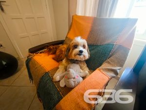 Residência - Ervino - São Francisco do Sul