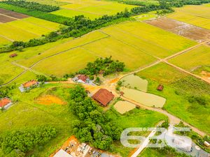 Chácara/Sítio - Vila Nova - Joinville