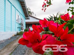 Residência - Floresta - Joinville