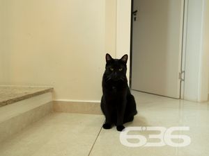 Residência - São Marcos - Joinville