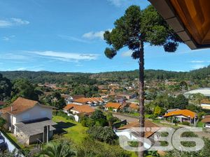 Apartamento - Centro - Campo Alegre